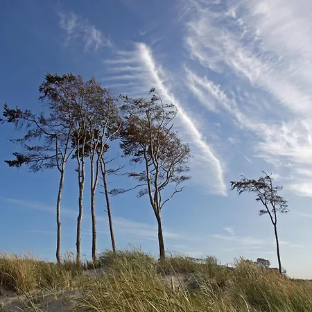 Strandburg ホテル プレロー